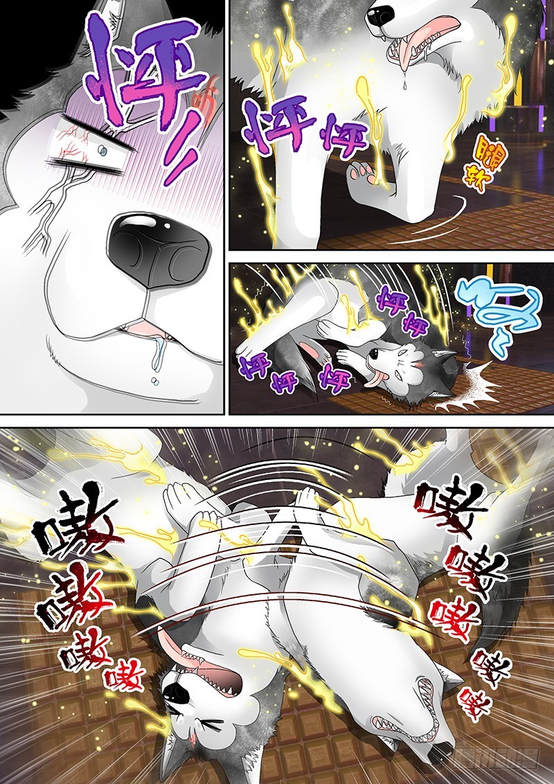 016-2哔了狗了！5