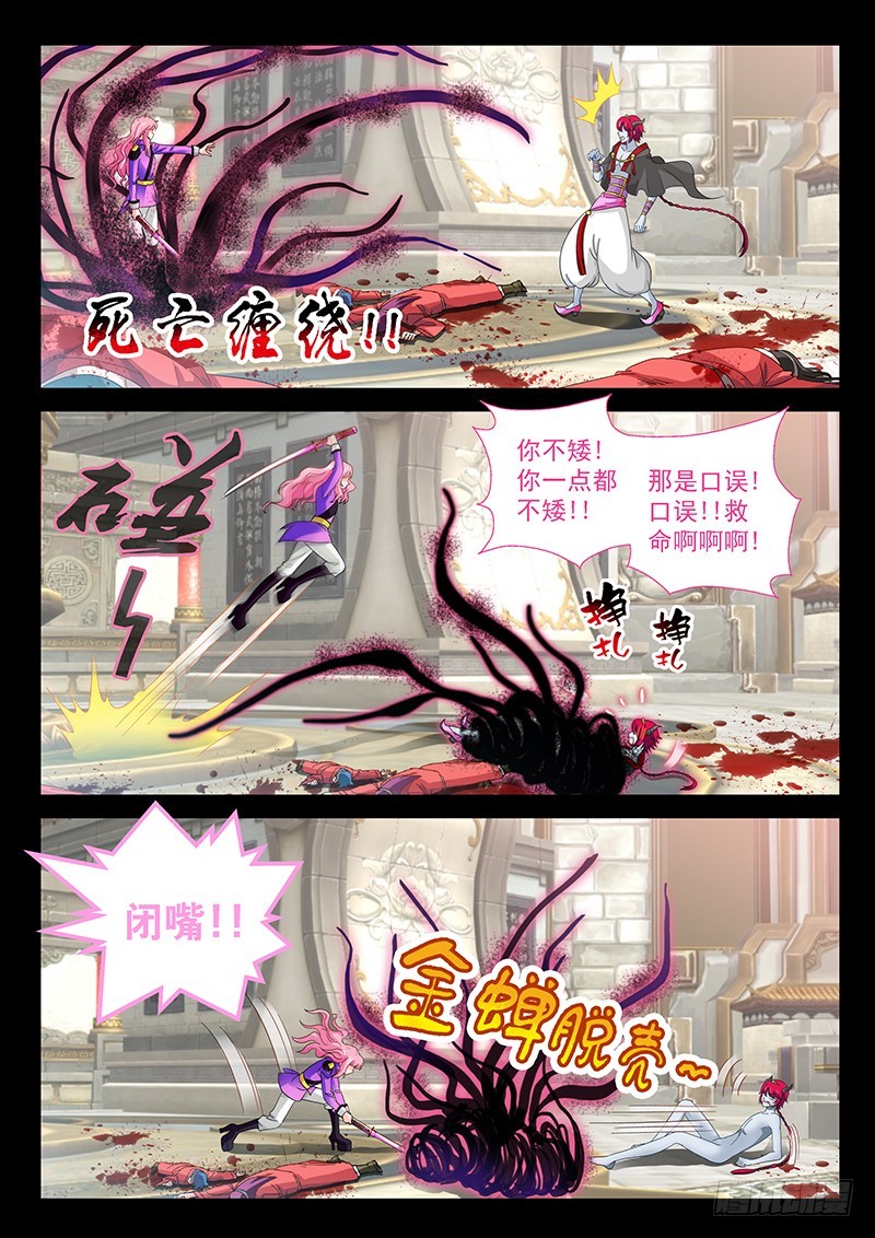030-5柯基小短腿3