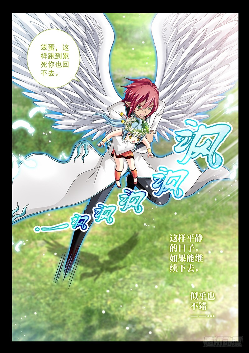 030-5柯基小短腿9