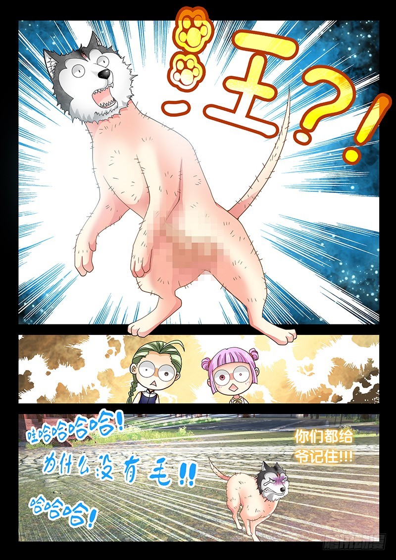 029-4没有毛10