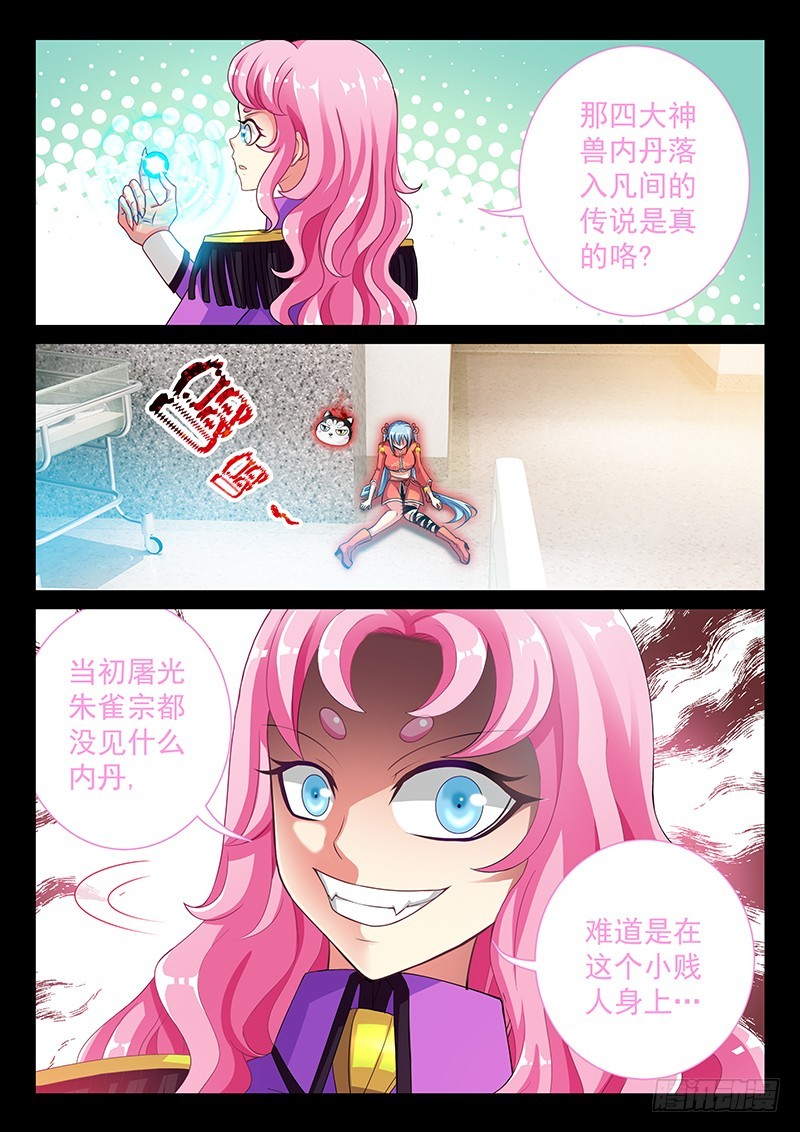 037-5白虎内丹5