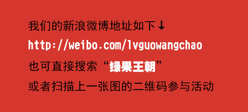活动公告2