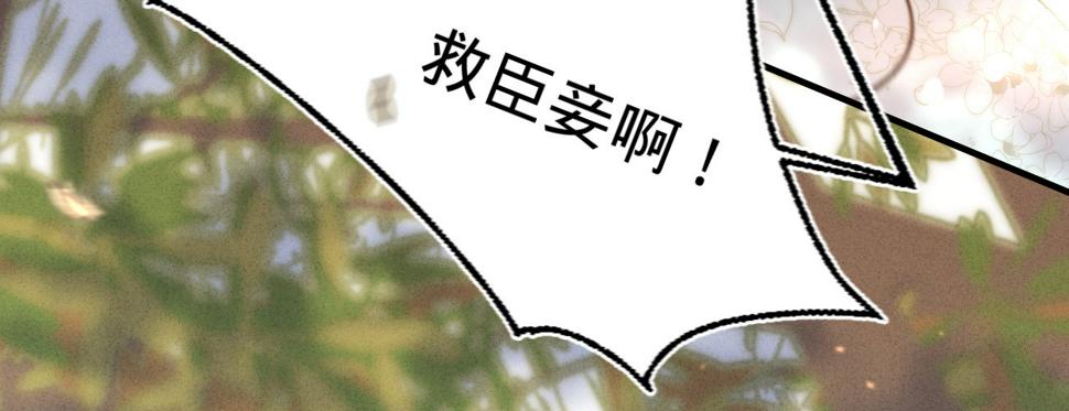 第十八话请你吃枇杷10