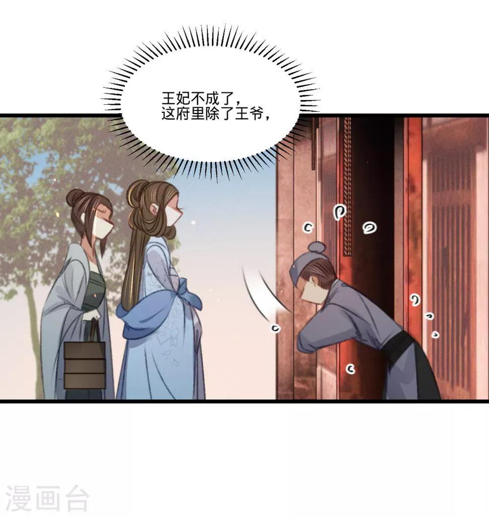 第62话王妃“偷人”？38