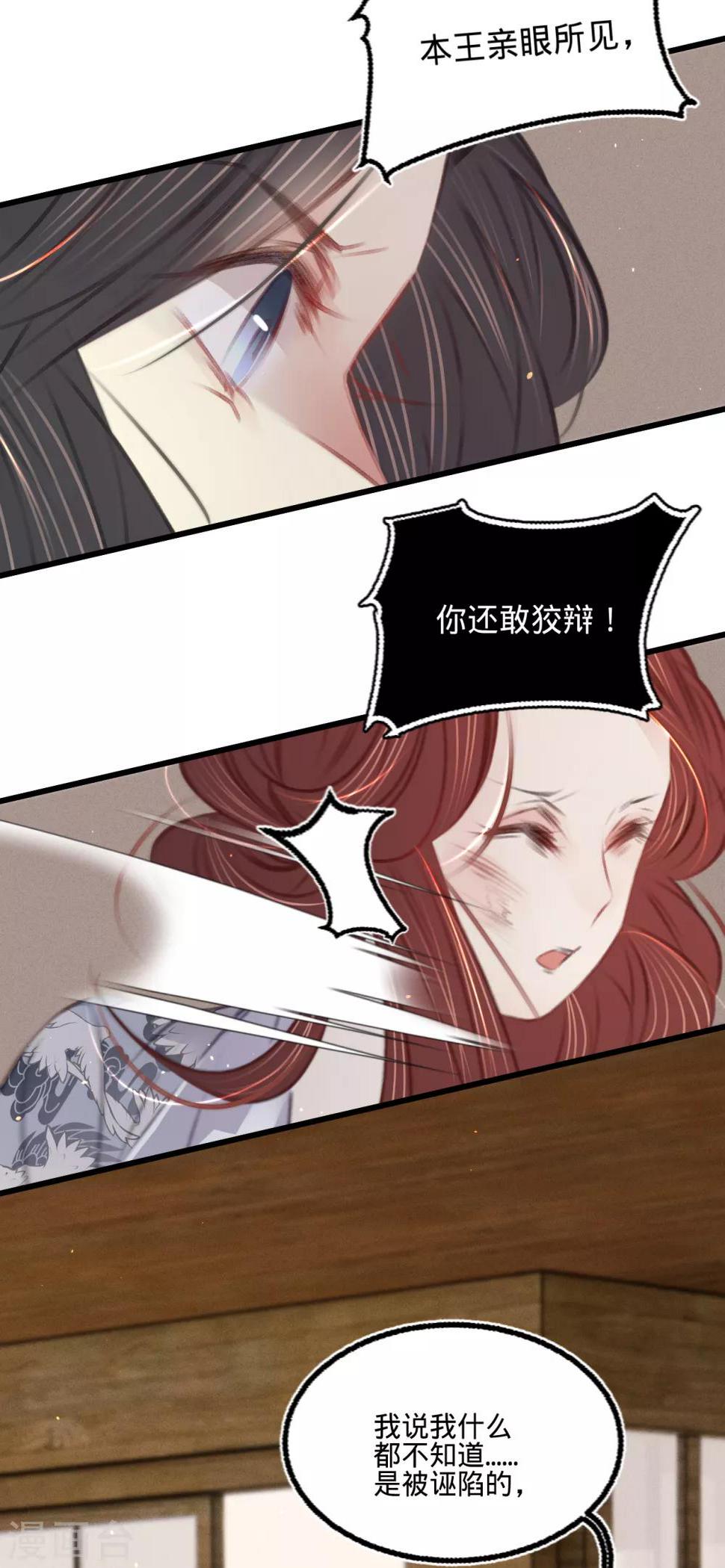 第62话王妃“偷人”？22