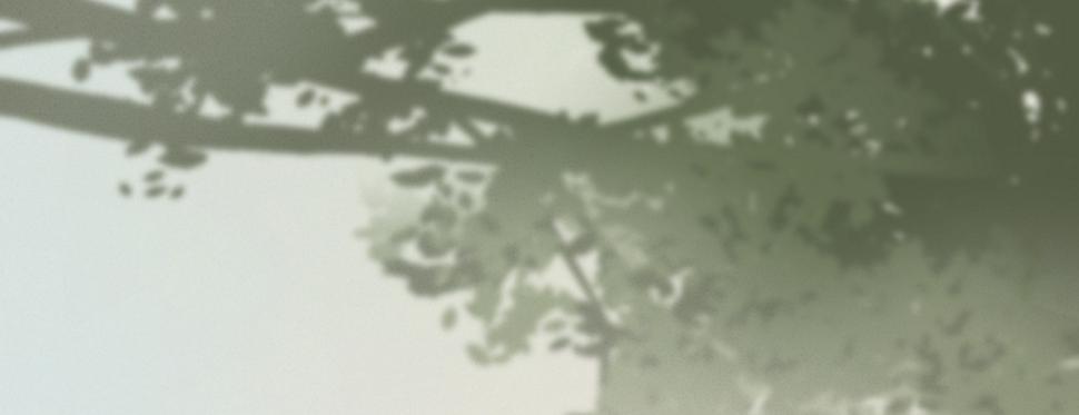 第二十五话约会168