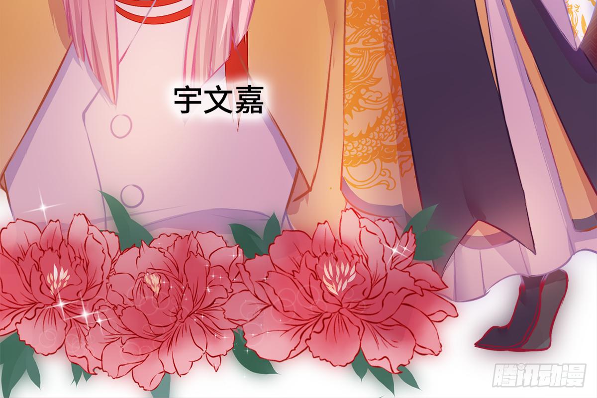 01朕决定解散后宫了！10