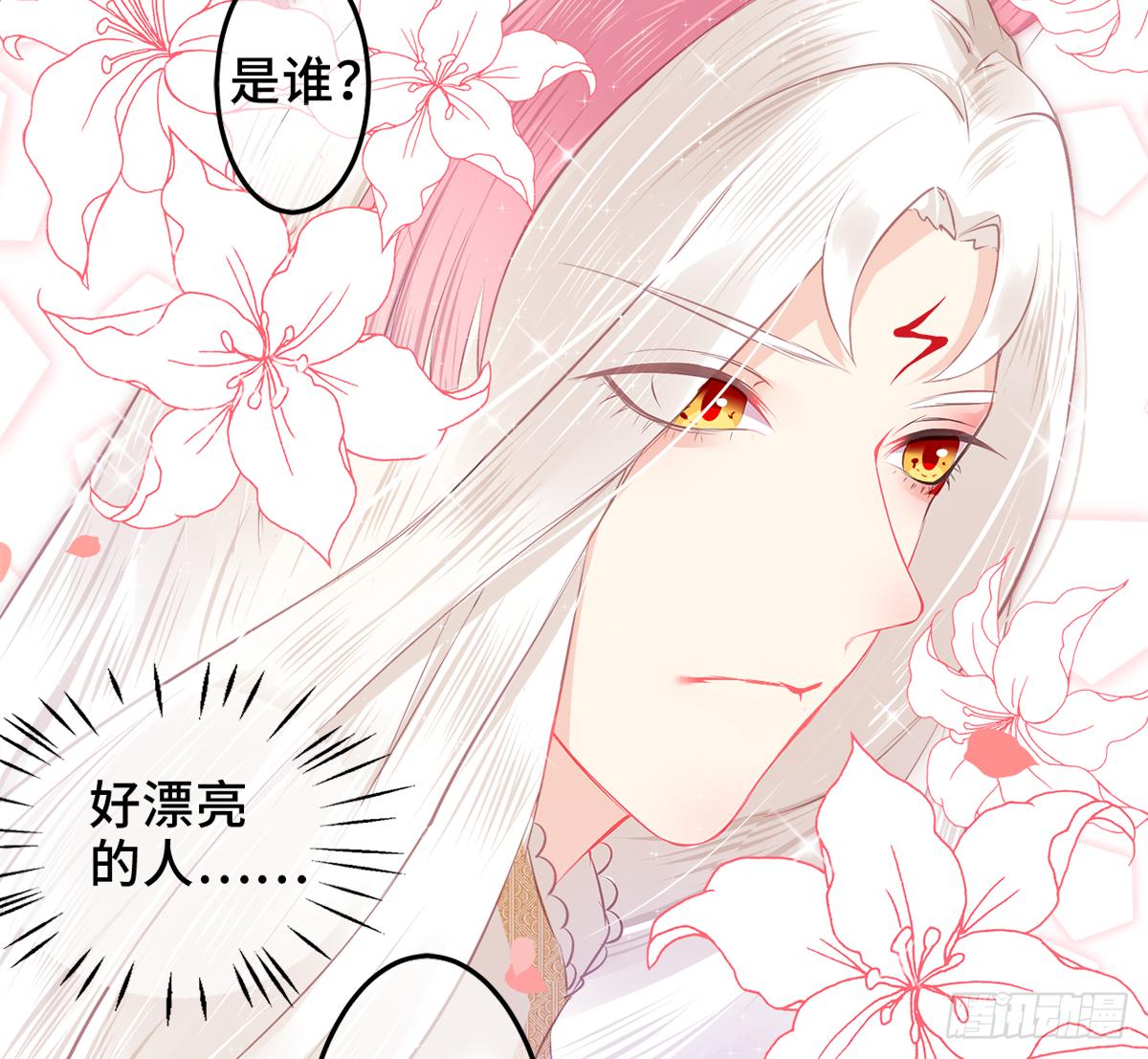 01朕决定解散后宫了！60