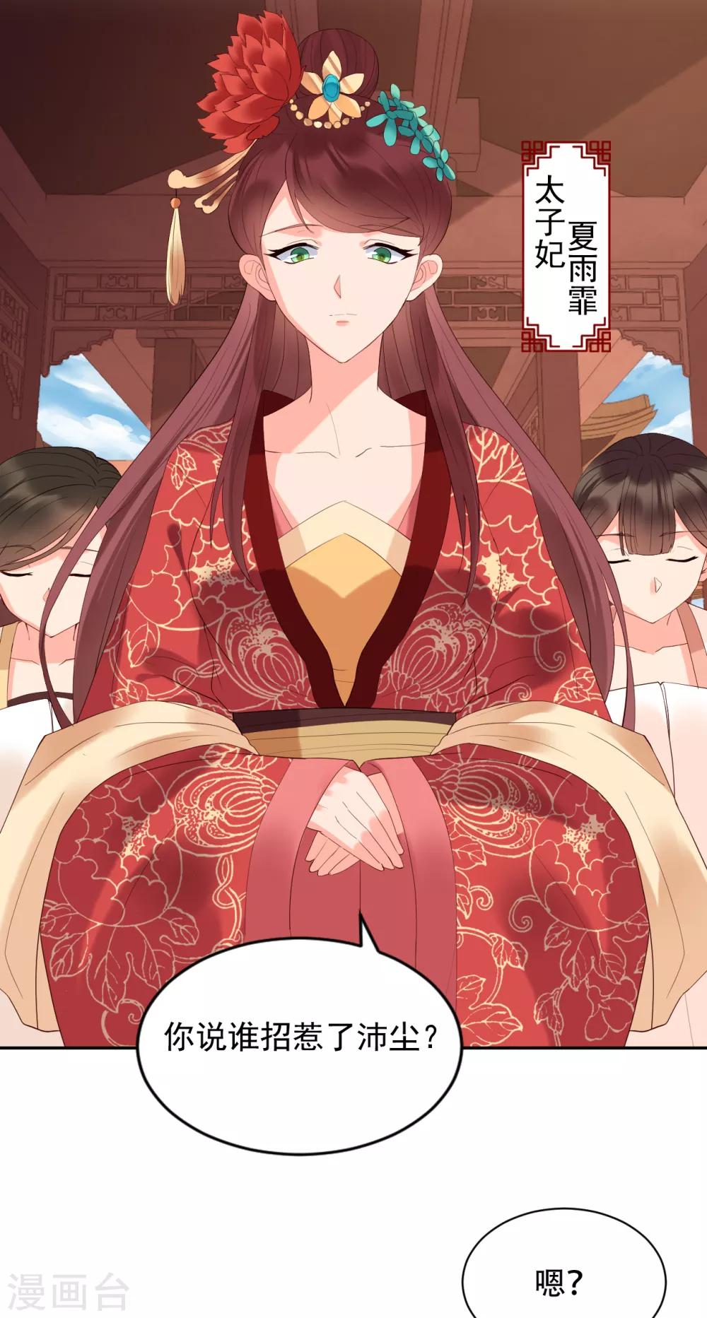 第66话 太子妃9