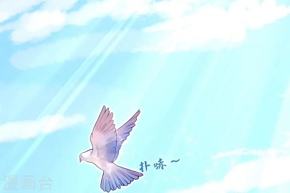 预告13