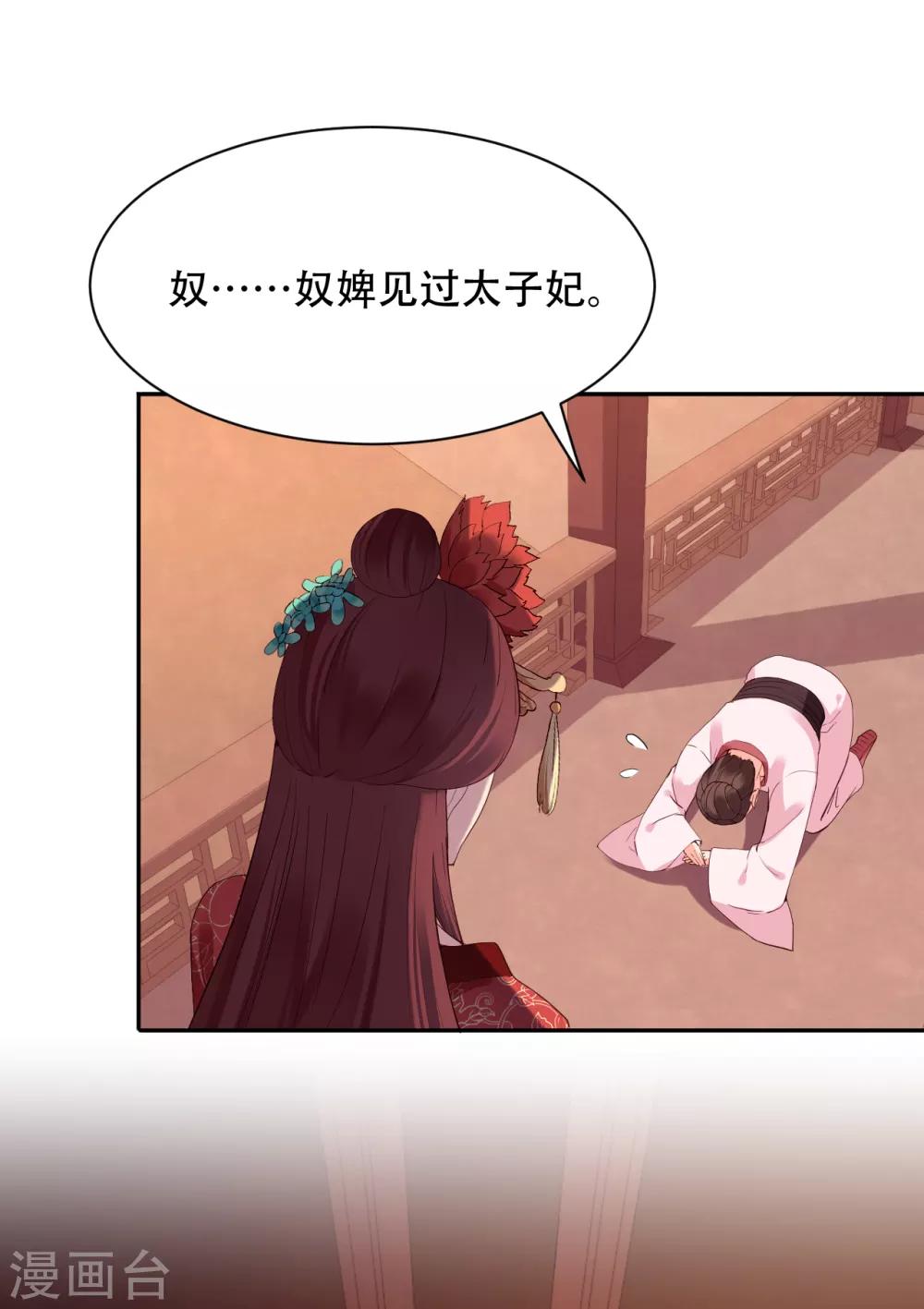 第66话 太子妃8