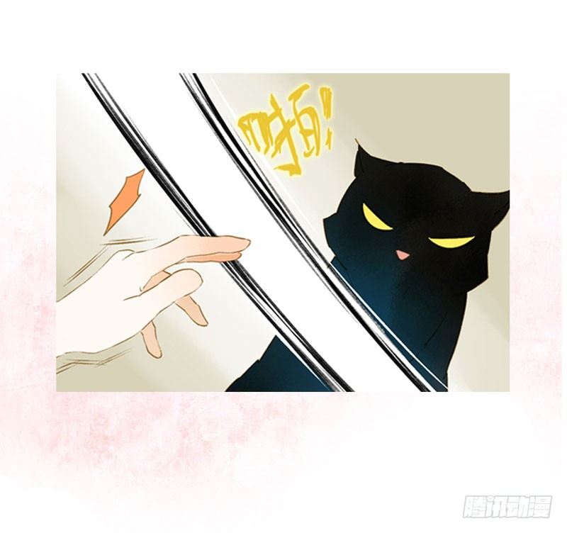 预告：万万没想到的穿越43