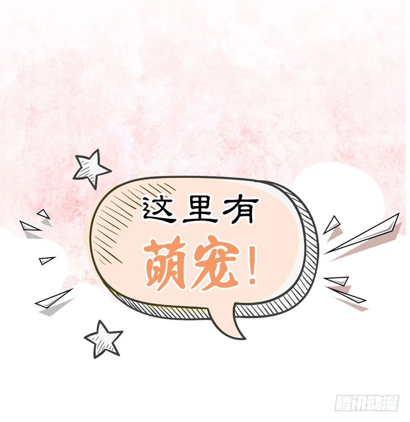 预告：万万没想到的穿越41