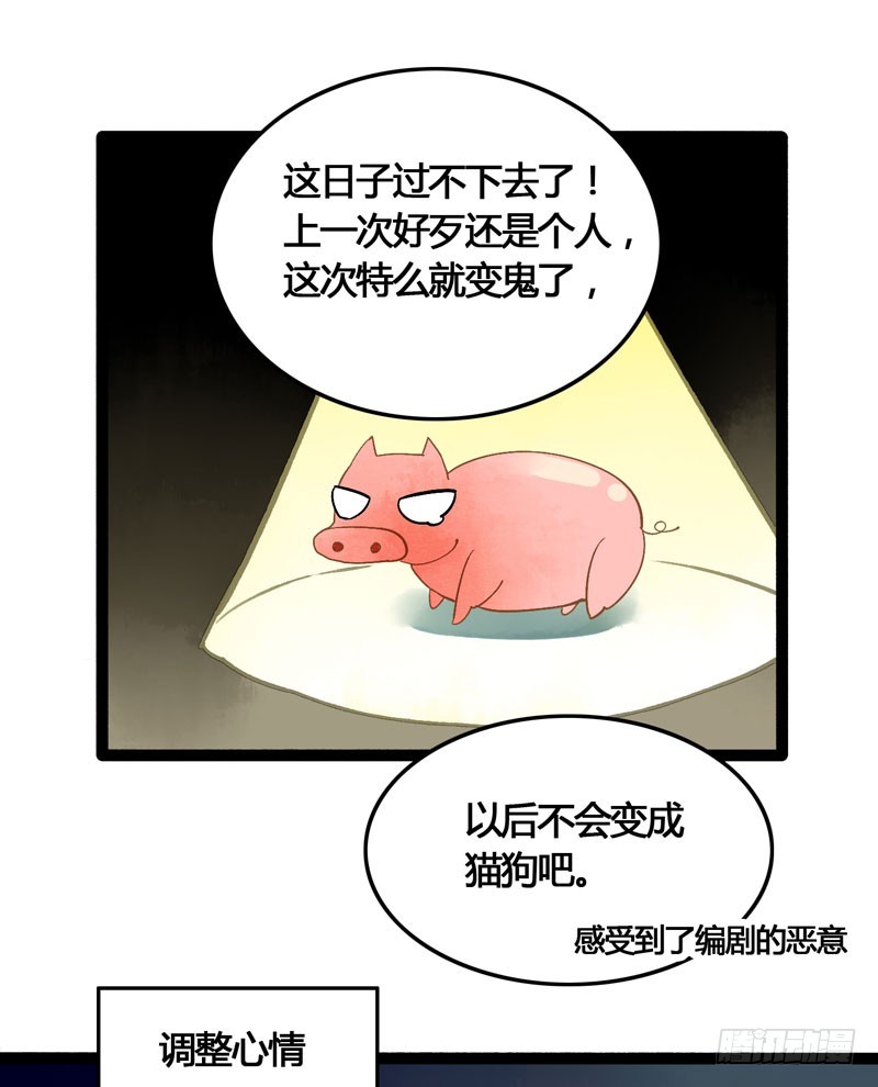 本仙女的棺材板压不住了！33