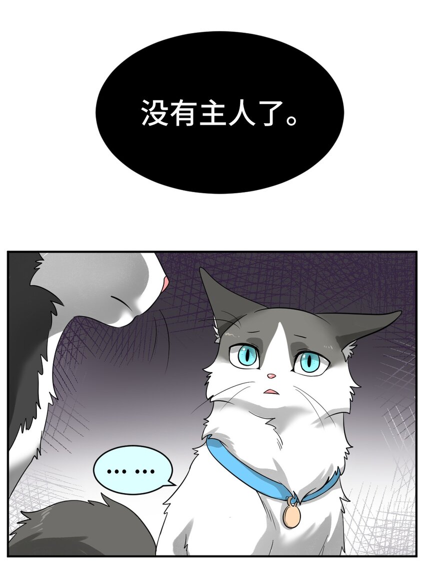 002 第二话 我已经没有主人了。5