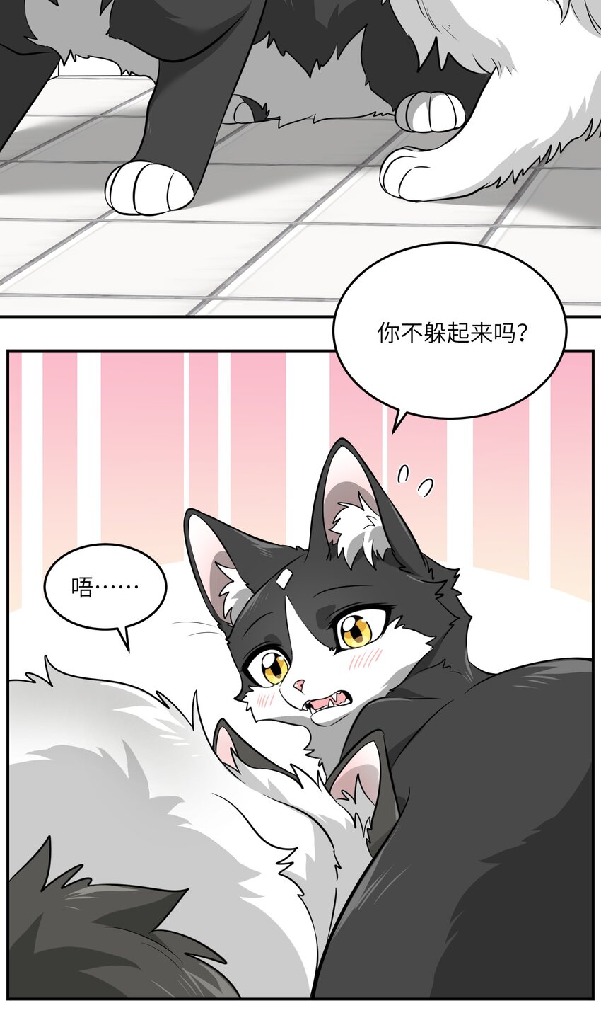 007 怎么办……10