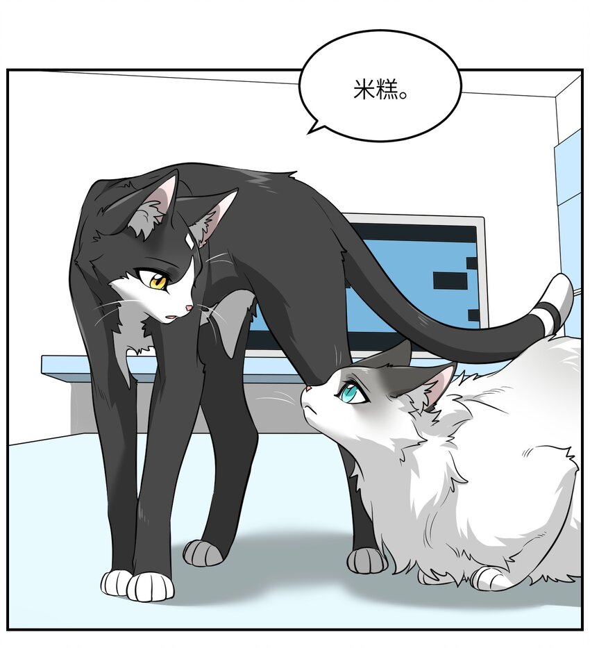 007 怎么办……4