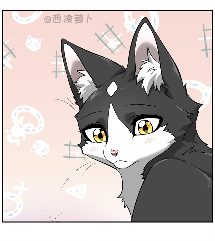 007 怎么办……12
