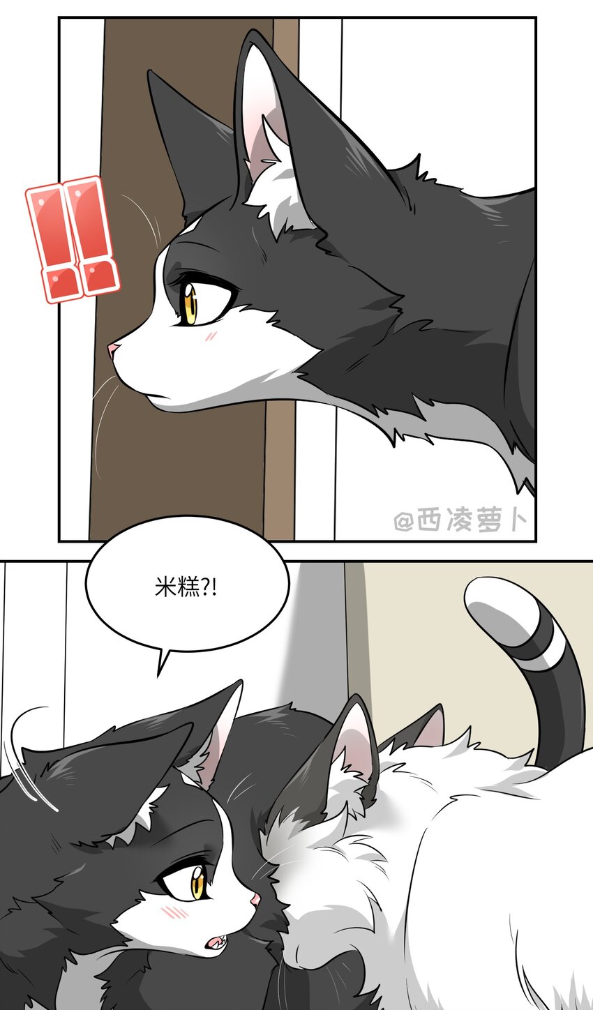 007 怎么办……9