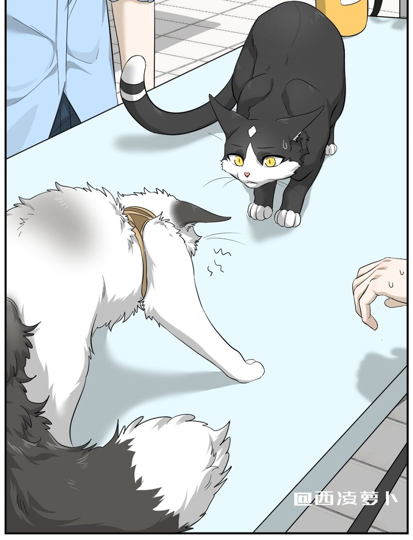 004 第四话 疼不疼？1