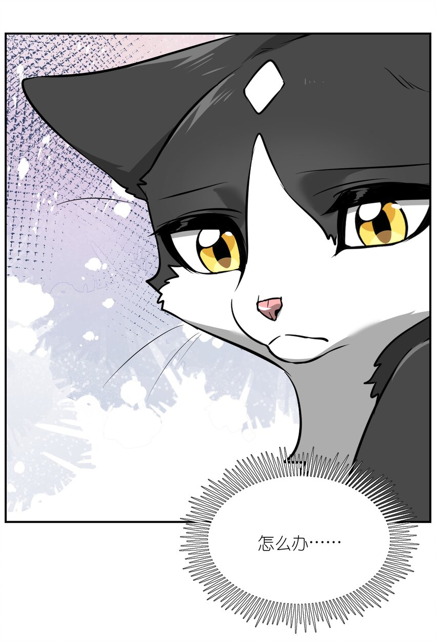 007 怎么办……13