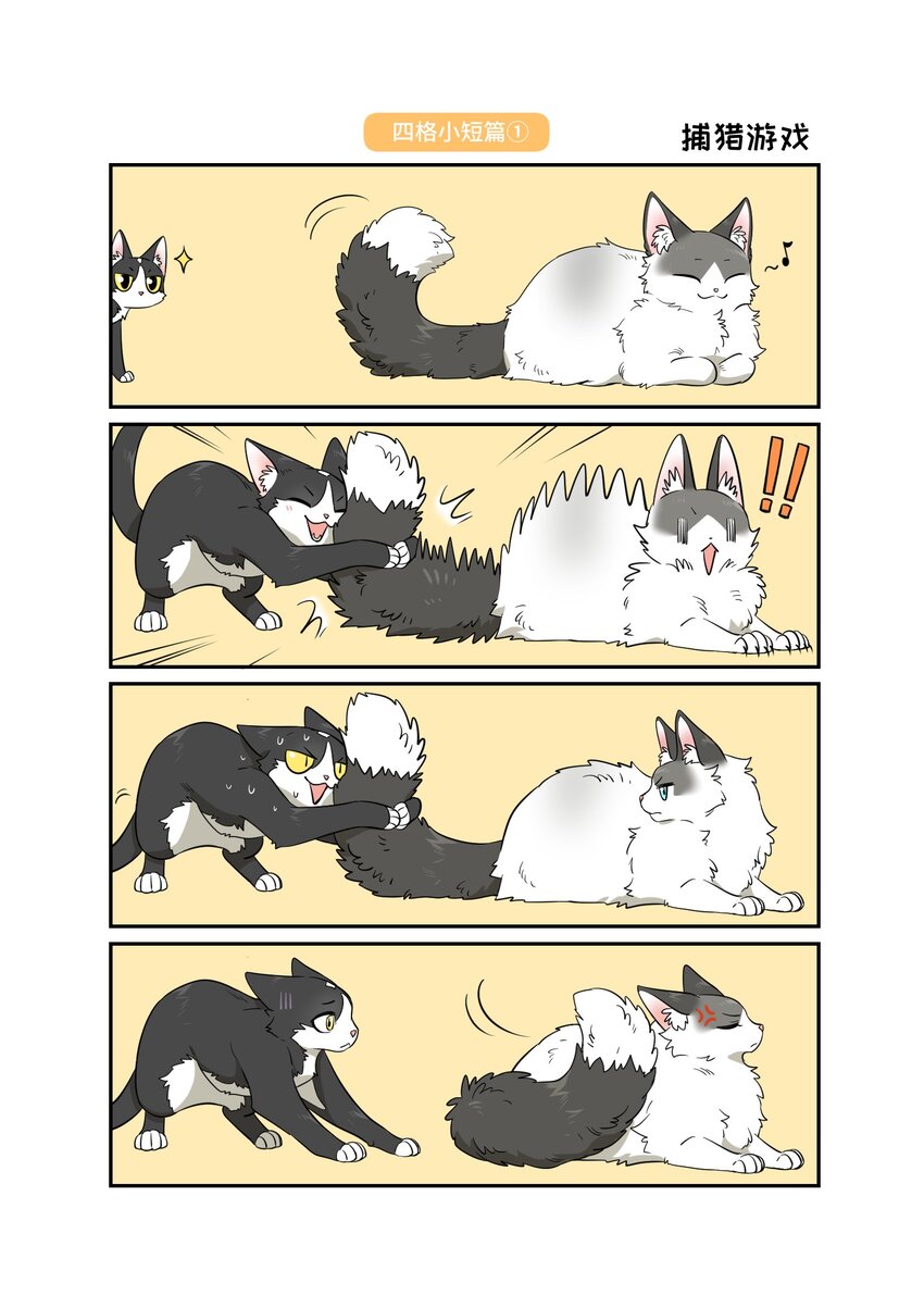 007 怎么办……17