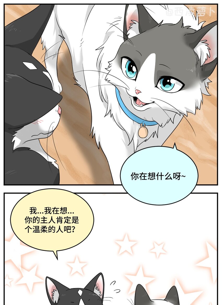 002 第二话 我已经没有主人了。3