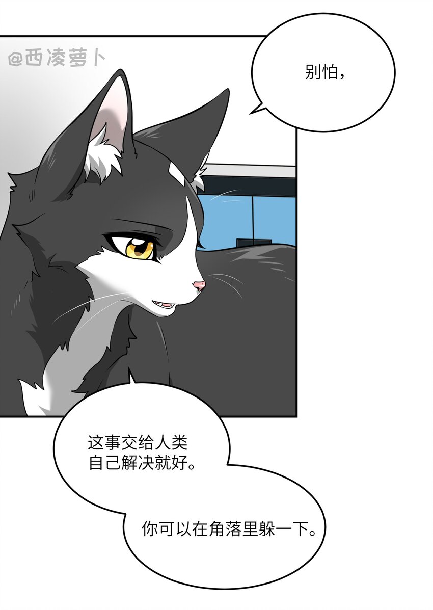 007 怎么办……5