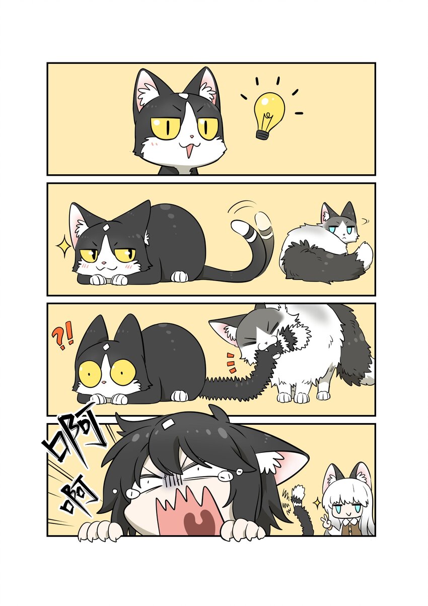 007 怎么办……18