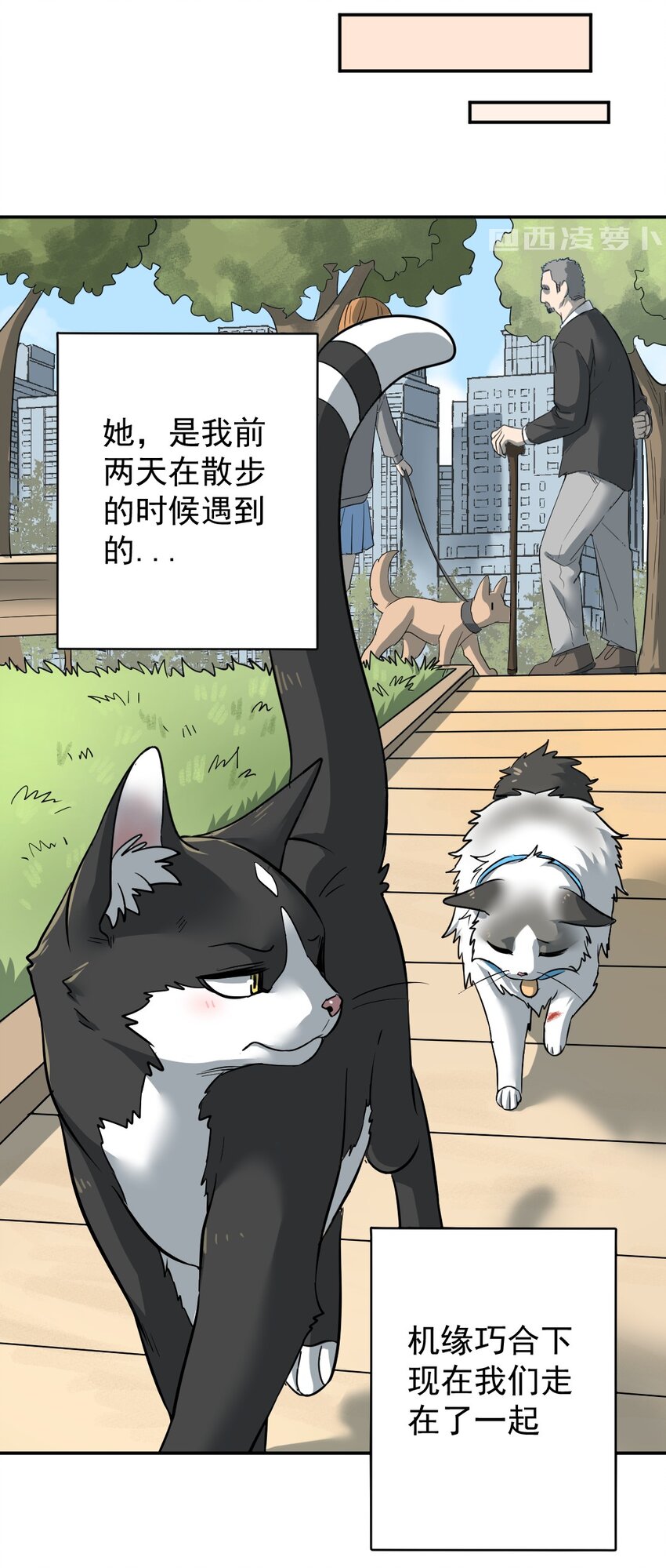 001 第一话 米糕！！6