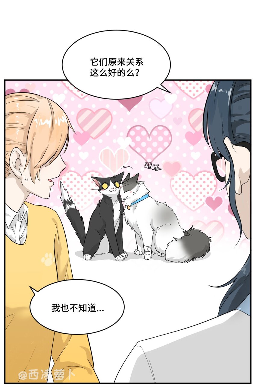 002 第二话 我已经没有主人了。10