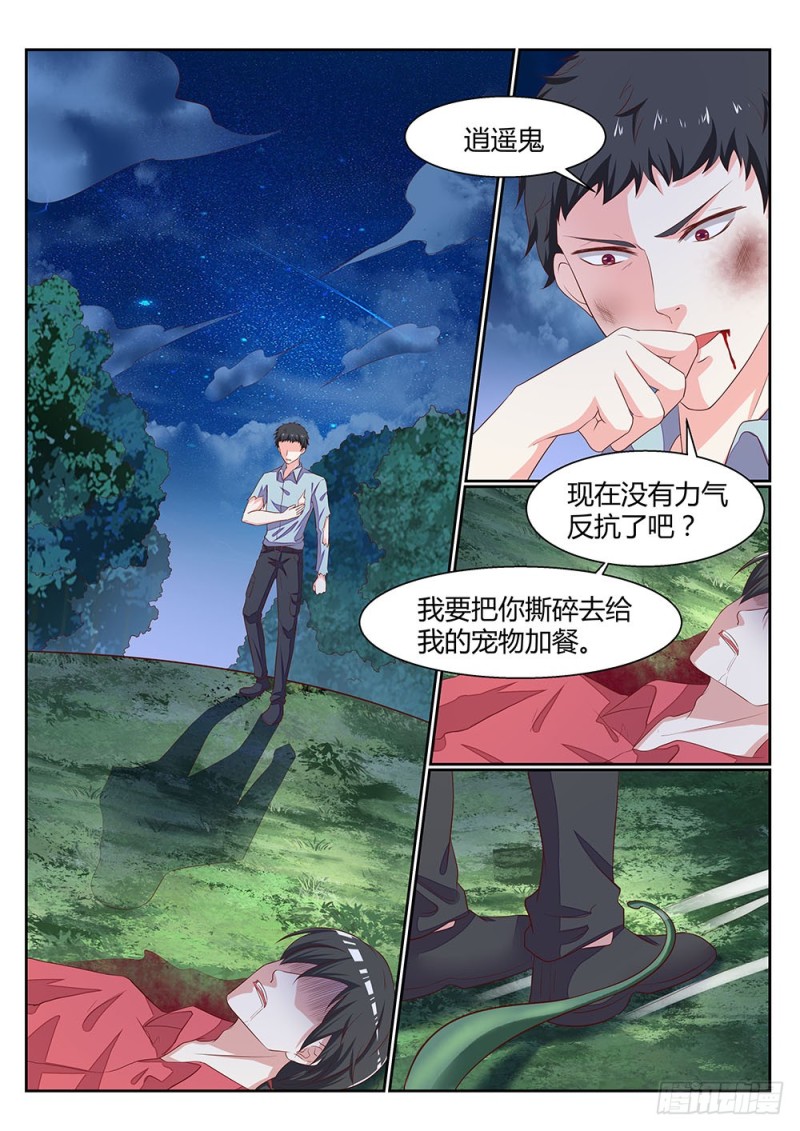 059话 植物大军VS动物大军3