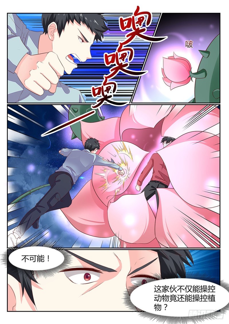 059话植物大军VS动物大军5