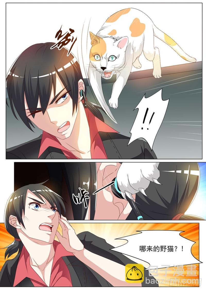 052话别跑啊喵星人9