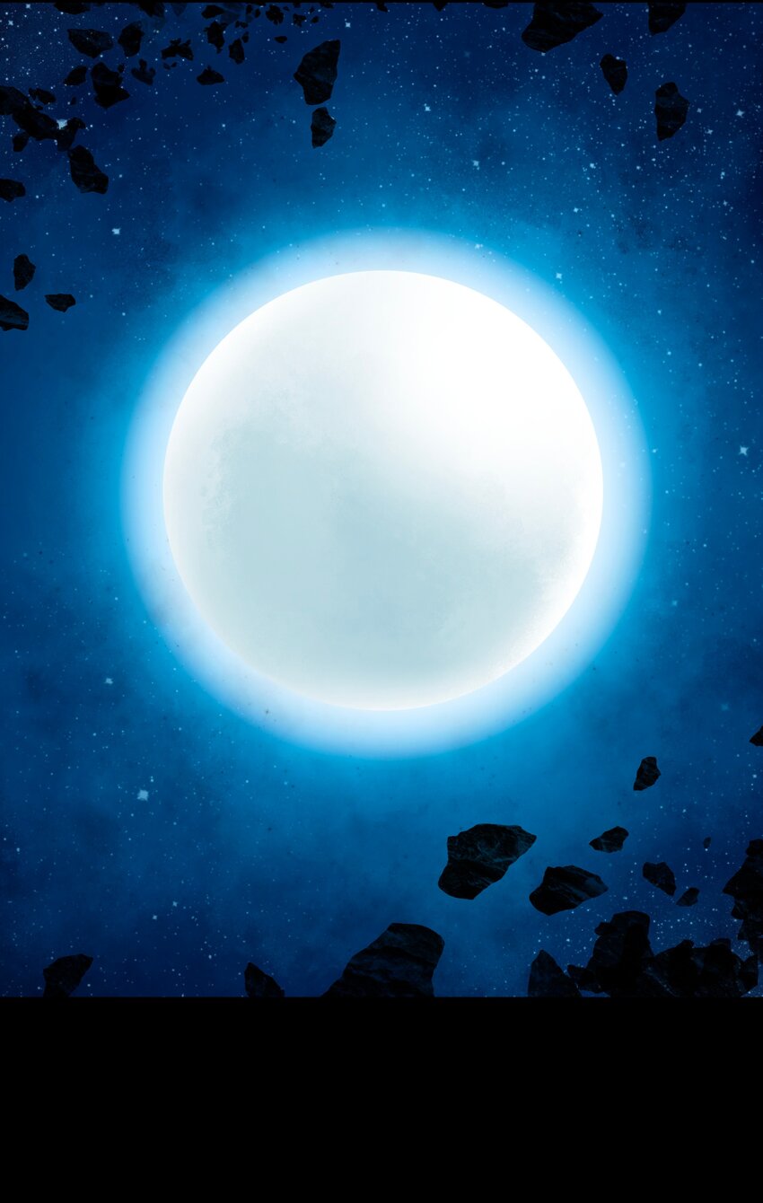 019兄妹46
