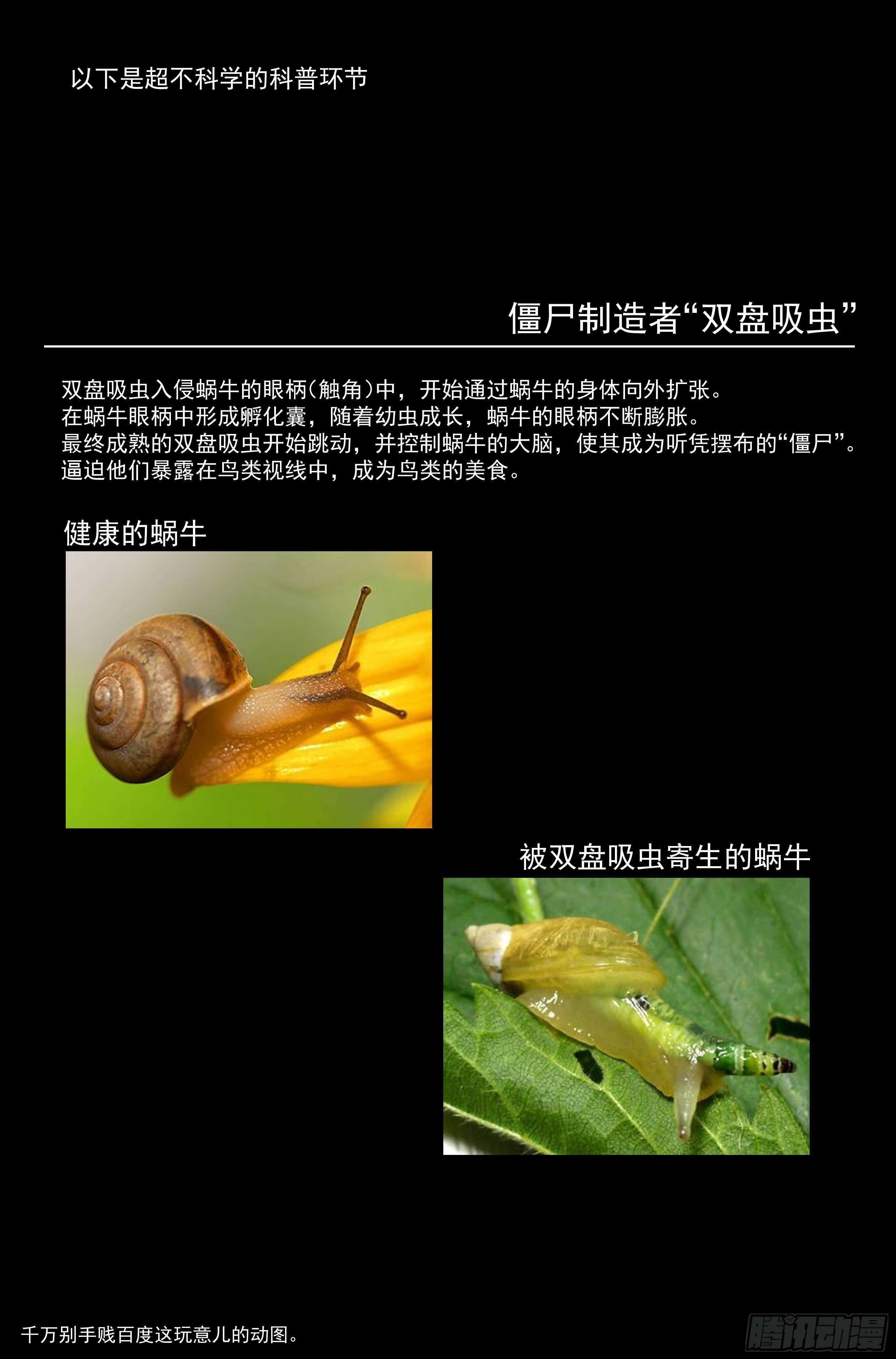50.勇气默示录（上篇）15