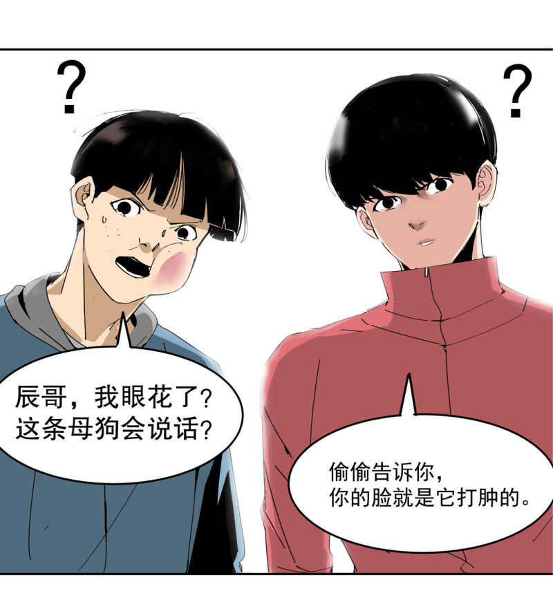 第37话这条狗是付三通？24
