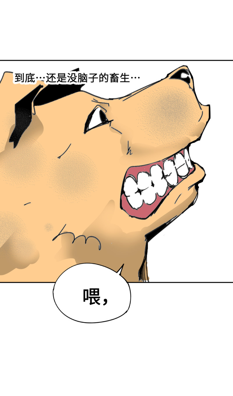 第53话 记住我叫付三通62