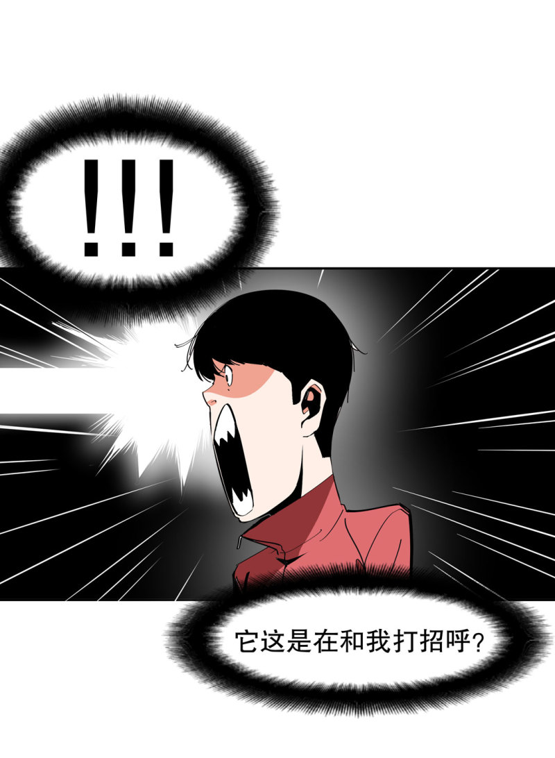 第37话这条狗是付三通？9