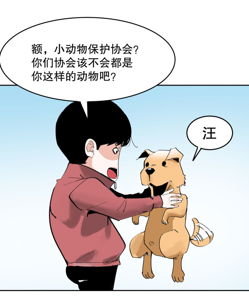 第39话营救爱国的小艾（一）13