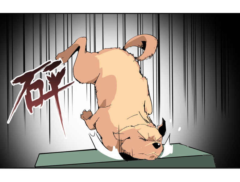 第37话这条狗是付三通？29