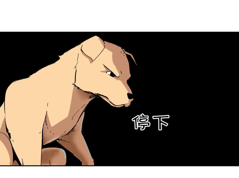 第37话这条狗是付三通？7