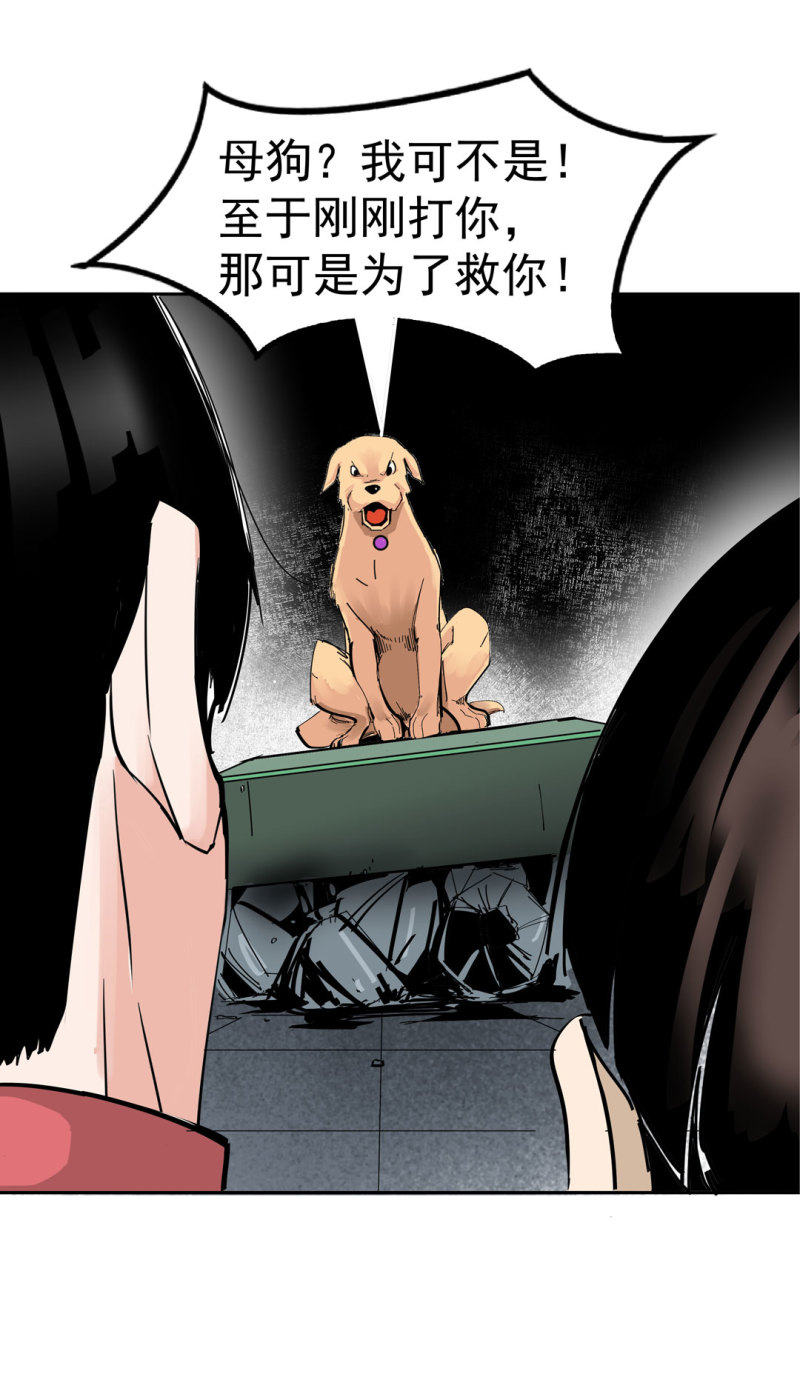第37话这条狗是付三通？25