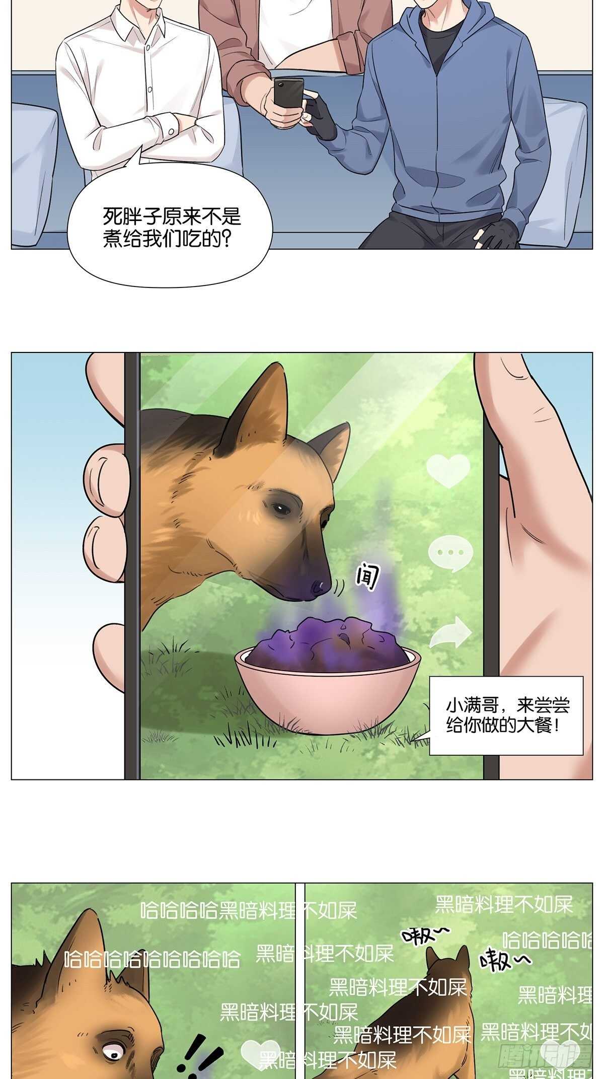 烟花24