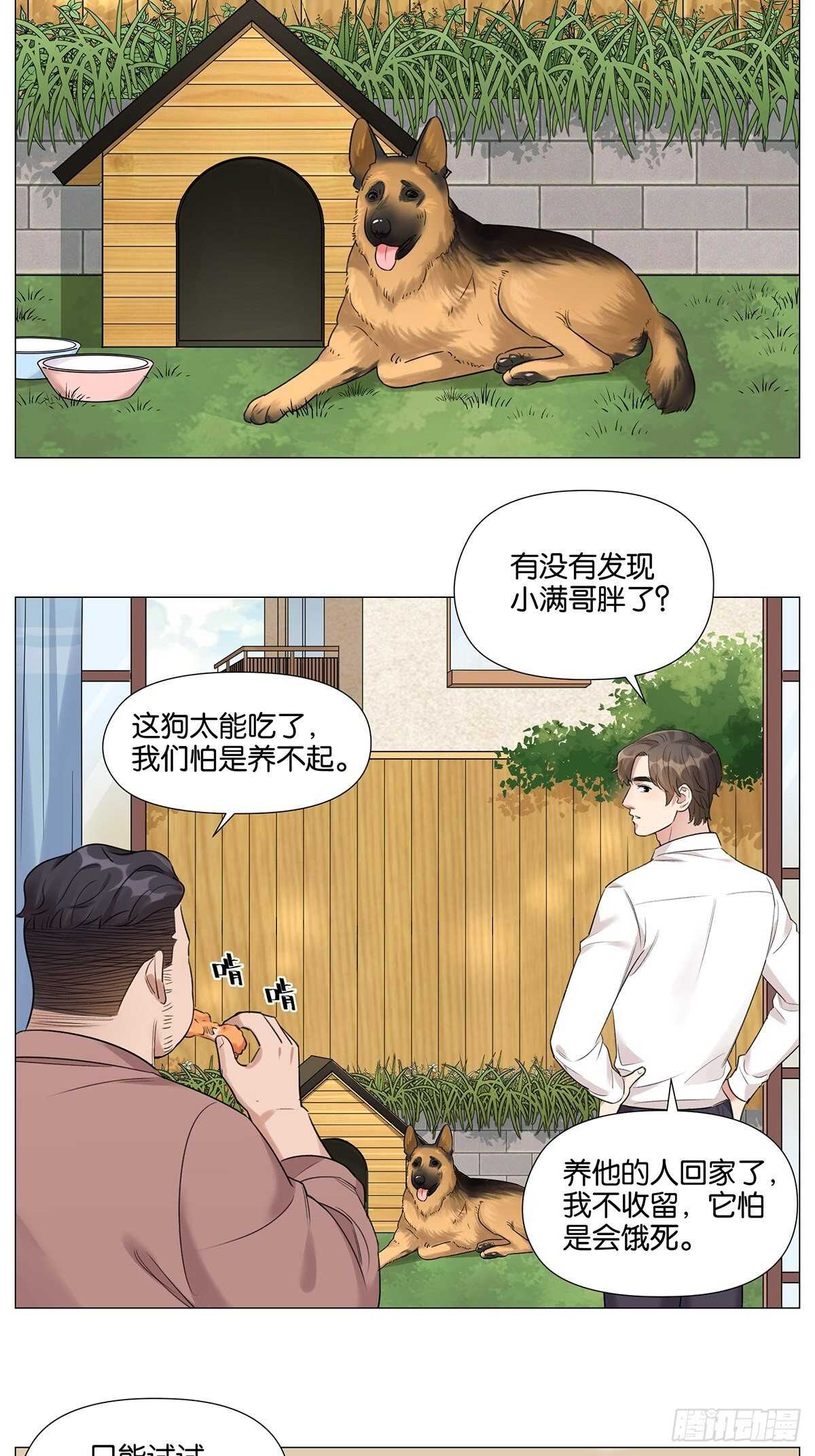 烟花19