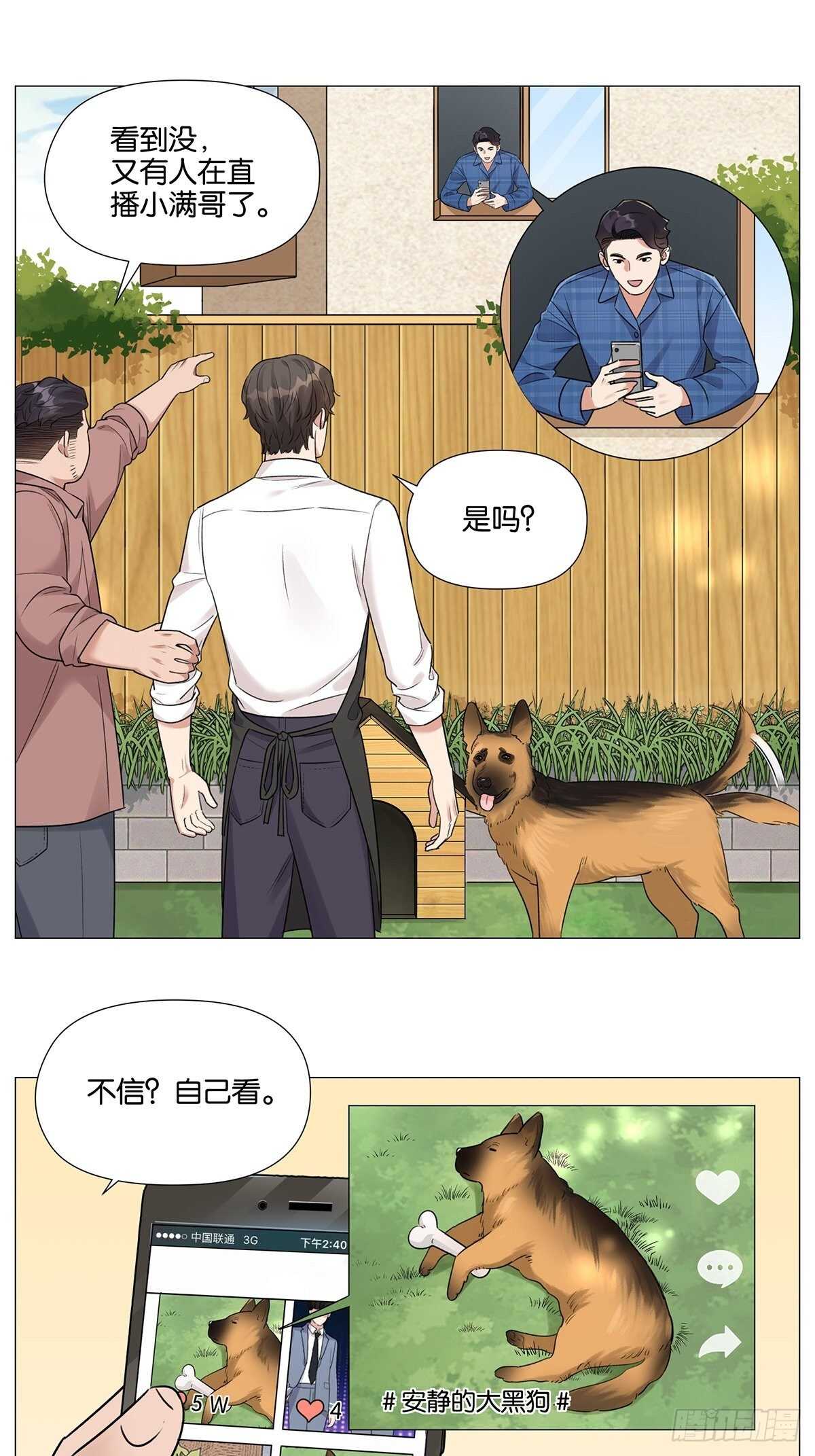 烟花21