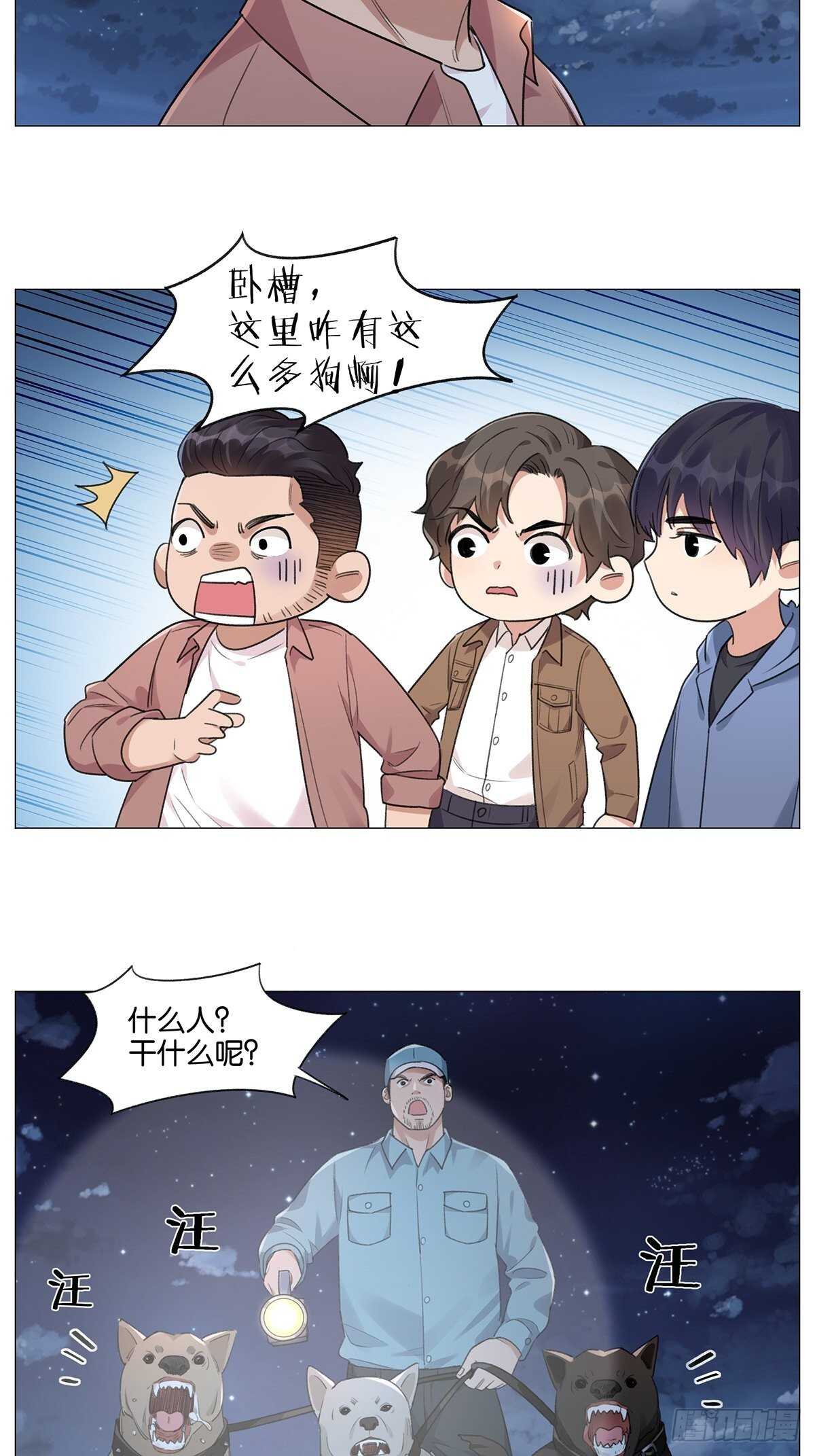 烟花7