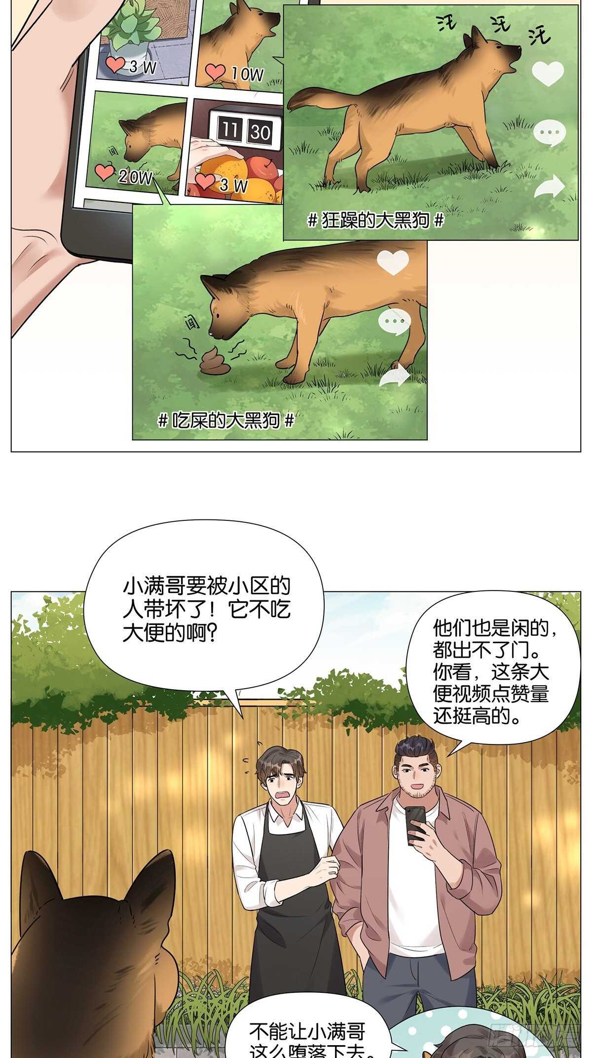 烟花22