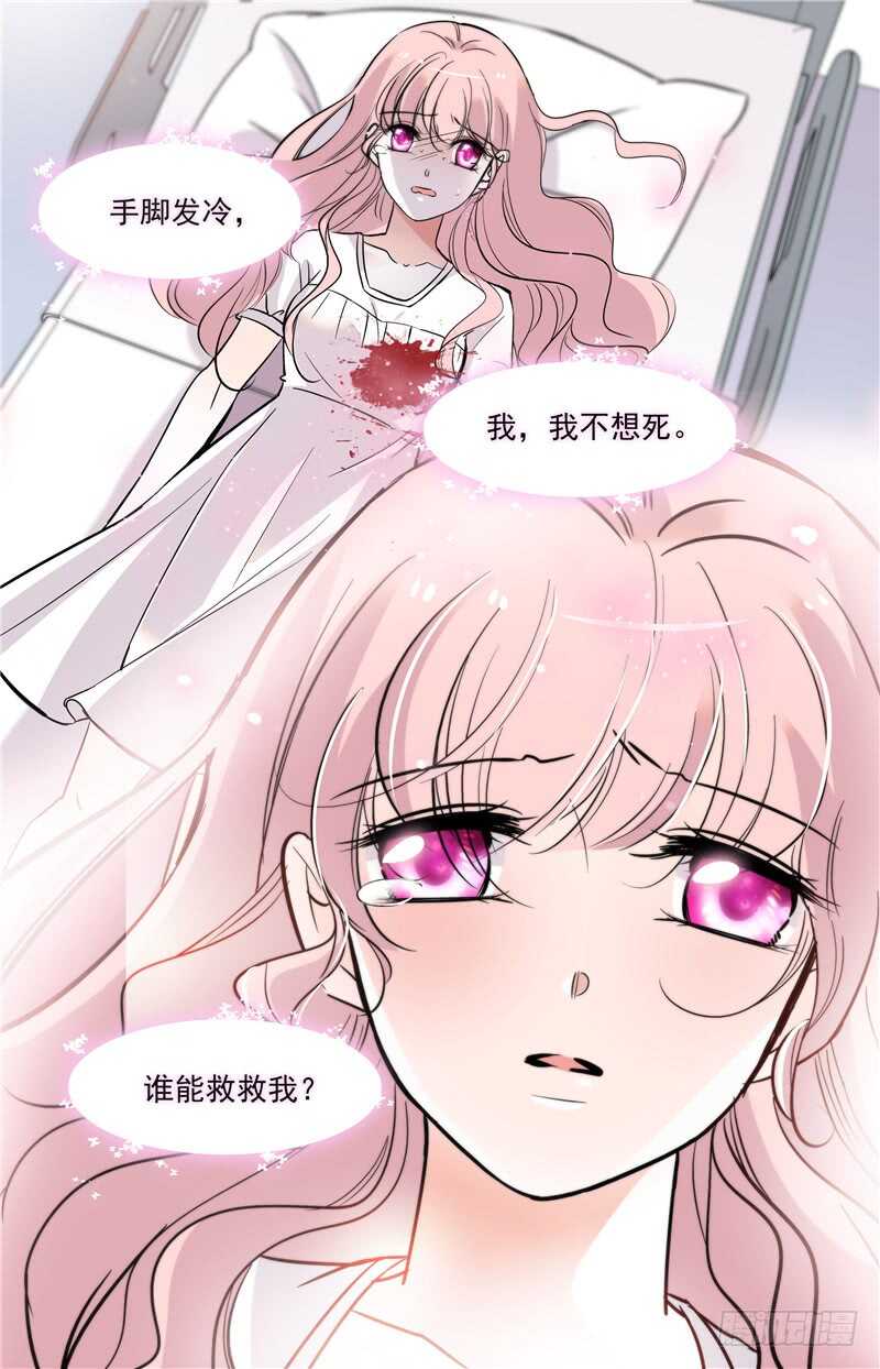 第五十话守护之狼2