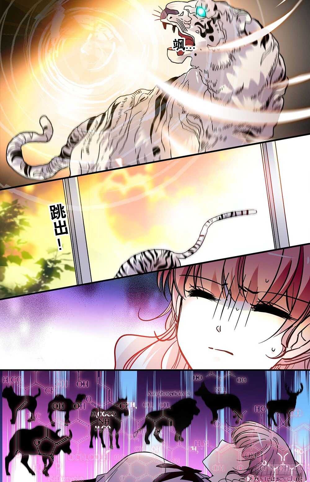 第二十话觉醒！4